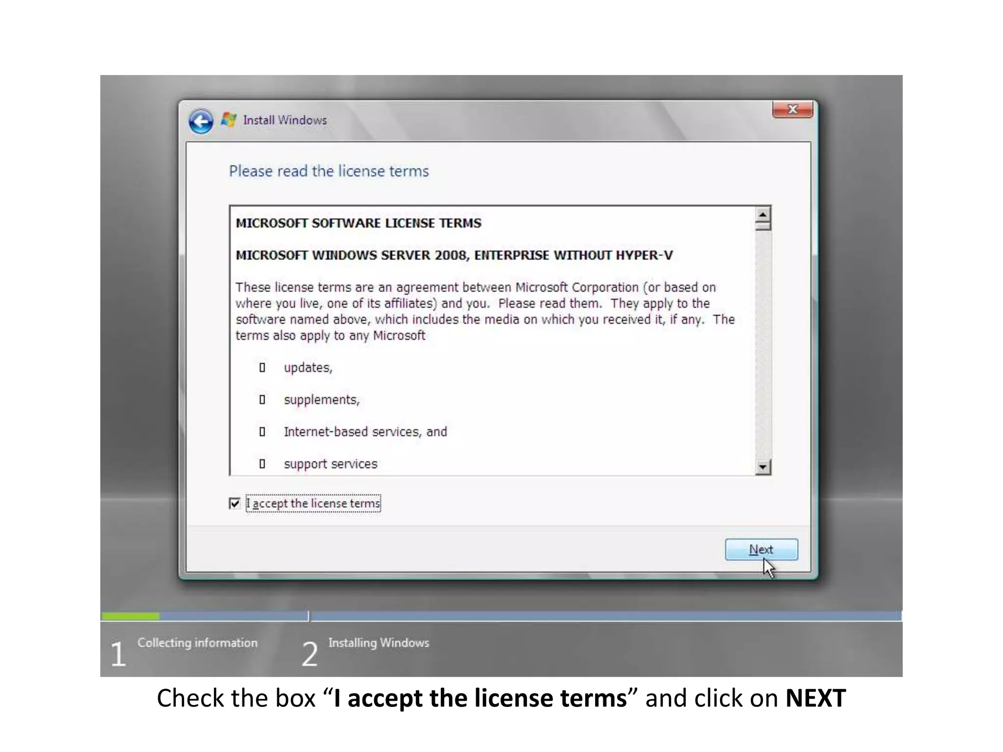 Check the box “I accept the license terms” and click on NEXT
