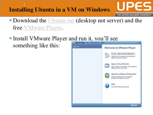 mplayer kubuntu mplayer kubuntu