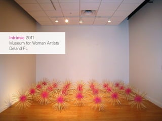 Intrinsic 2011
Museum for Woman Artists
Deland FL
 