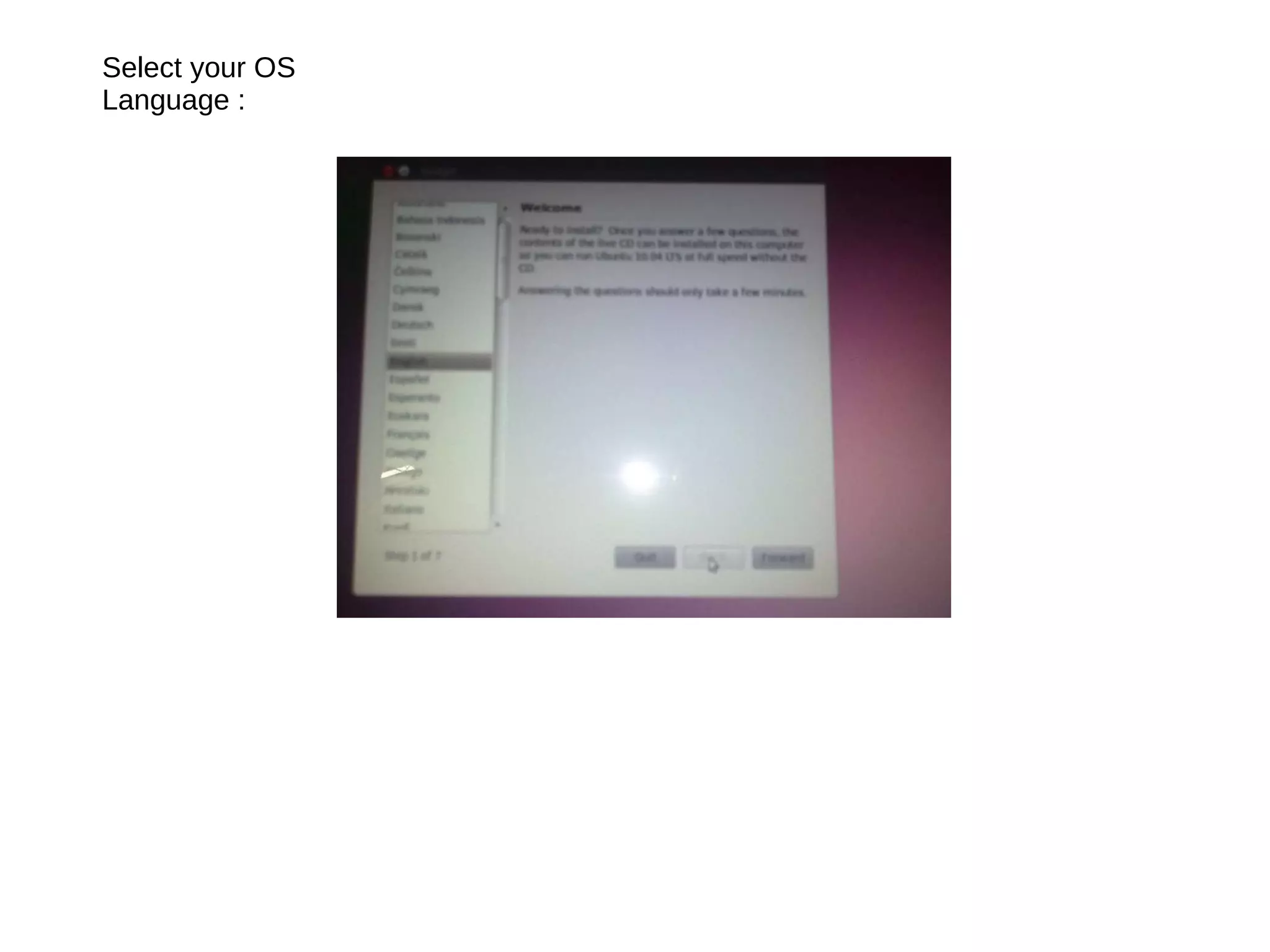 Select your OS Language :