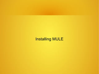 Installing MULE
 