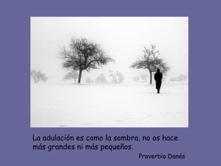 La adulación es como la sombra, no os hace más grandes ni más pequeños. Proverbio Danés 