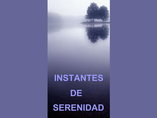 INSTANTES DE SERENIDAD 