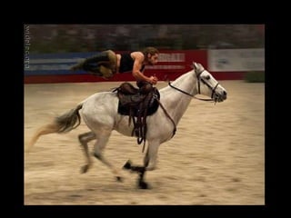 Instant pictures 01a_a