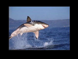 Instant pictures 01a_a