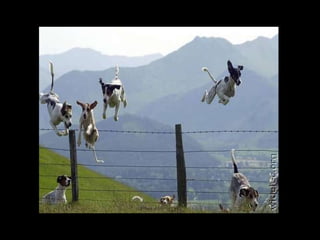 Instant pictures 01a_a