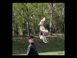 Instant pictures 01a_a