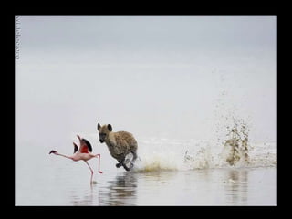 Instant pictures 01a_a