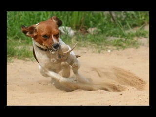 Instant pictures 01a_a