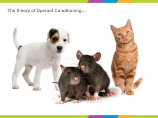The theory of Operant Conditioning…
 