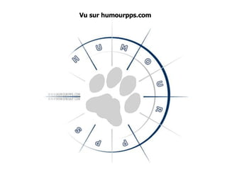 Vu sur  humourpps.com 