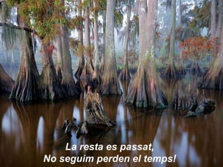 La resta es passat,  No seguim perden el temps!   