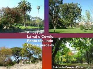 Ai, Jesus 
Lá vai o Covelo, 
Ponto tão lindo 
É pena perdê-lo 
Quinta do Covelo - Porto 
 