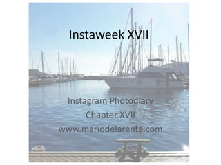 Instaweek XVII

Instagram Photodiary
Chapter XVII
www.mariodelarenta.com

 