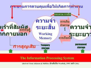 Working Memory permanent  storage Tempory  storage (derived  from Atkinson & Shiffrin   อ้างถึงใน   Woolfolk, 1995  หน้า  244.) กระบวนการควบคุมเพื่อให้เกิดการทำงาน สิ่งเร้าที่สัมผัส จากภายนอก การรับรู้ ความจำ ระยะสั้น การเก็บกำความรู้ ความจำ ระยะยาว การเรียกใช้ The Information Processing System การทบทวน การฝึกหัด การสูญเสีย 