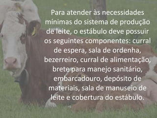 IntroduçãoPara atender às necessidades
mínimas do sistema de produção
de leite, o estábulo deve possuir
os seguintes componentes: curral
de espera, sala de ordenha,
bezerreiro, curral de alimentação,
brete para manejo sanitário,
embarcadouro, depósito de
materiais, sala de manuseio de
leite e cobertura do estábulo.
 