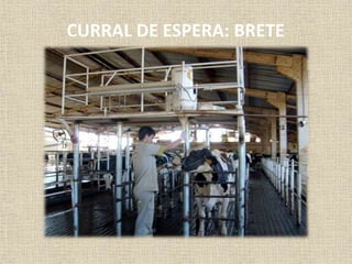 CURRAL DE ESPERA: BRETE
 