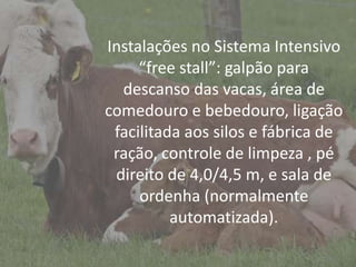 Introdução
Instalações no Sistema Intensivo
“free stall”: galpão para
descanso das vacas, área de
comedouro e bebedouro, ligação
facilitada aos silos e fábrica de
ração, controle de limpeza , pé
direito de 4,0/4,5 m, e sala de
ordenha (normalmente
automatizada).
 