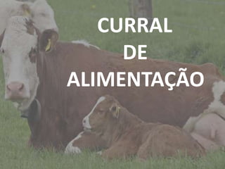 IntroduçãoCURRAL
DE
ALIMENTAÇÃO
 