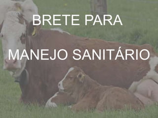 Introdução
BRETE PARA
MANEJO SANITÁRIO
 