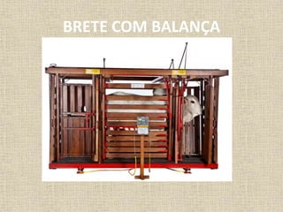 BRETE COM BALANÇA
 