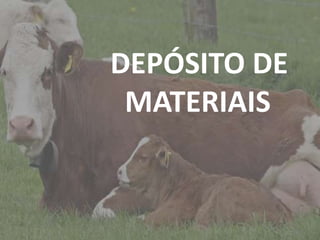 Introdução
DEPÓSITO DE
MATERIAIS
 