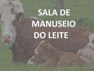Introdução
SALA DE
MANUSEIO
DO LEITE
 