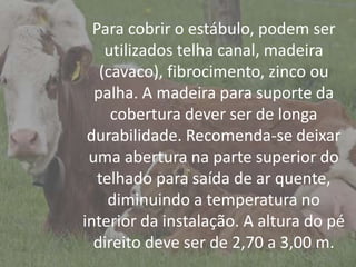 IntroduçãoPara cobrir o estábulo, podem ser
utilizados telha canal, madeira
(cavaco), fibrocimento, zinco ou
palha. A madeira para suporte da
cobertura dever ser de longa
durabilidade. Recomenda-se deixar
uma abertura na parte superior do
telhado para saída de ar quente,
diminuindo a temperatura no
interior da instalação. A altura do pé
direito deve ser de 2,70 a 3,00 m.
 