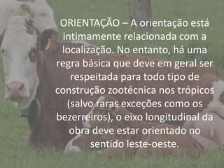 IntroduçãoORIENTAÇÃO – A orientação está
intimamente relacionada com a
localização. No entanto, há uma
regra básica que deve em geral ser
respeitada para todo tipo de
construção zootécnica nos trópicos
(salvo raras exceções como os
bezerreiros), o eixo longitudinal da
obra deve estar orientado no
sentido leste-oeste.
 