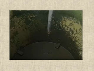 Inst gado leit_bio_digest_apres