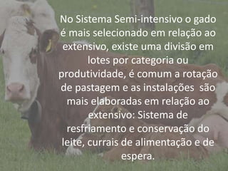 IntroduçãoNo Sistema Semi-intensivo o gado
é mais selecionado em relação ao
extensivo, existe uma divisão em
lotes por categoria ou
produtividade, é comum a rotação
de pastagem e as instalações são
mais elaboradas em relação ao
extensivo: Sistema de
resfriamento e conservação do
leite, currais de alimentação e de
espera.
 