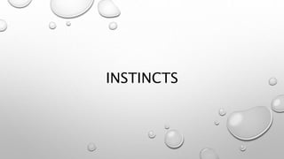 INSTINCTS
 