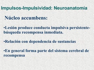 Impulsos-Impulsividad: Neuroanatomía Núcleo accumbens:   Lesión produce conducta impulsiva persistente-búsqueda recompensa inmediata.  Relación con dependencia de sustancias  En general forma parte del sistema cerebral de recompensa  