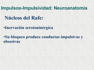 Impulsos-Impulsividad: Neuroanatomía Núcleos del Rafe:   Inervación serotoninérgica Su bloqueo produce conductas impulsivas y obsesivas  