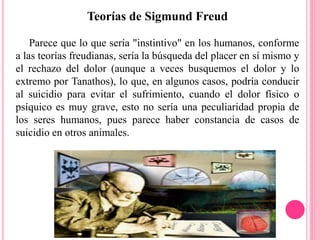 Teorías de Sigmund Freud
Parece que lo que sería "instintivo" en los humanos, conforme
a las teorías freudianas, sería la búsqueda del placer en sí mismo y
el rechazo del dolor (aunque a veces busquemos el dolor y lo
extremo por Tanathos), lo que, en algunos casos, podría conducir
al suicidio para evitar el sufrimiento, cuando el dolor físico o
psíquico es muy grave, esto no sería una peculiaridad propia de
los seres humanos, pues parece haber constancia de casos de
suicidio en otros animales.
 