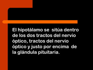 El hipotálamo se sitúa dentro
de los dos tractos del nervio
óptico, tractos del nervio
óptico y justo por encima de
la glándula pituitaria.
 