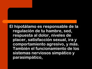 El hipotálamo es responsable de la
regulación de tu hambre, sed,
respuesta al dolor, niveles de
placer, satisfacción sexual, ira y
comportamiento agresivo, y más.
También el funcionamiento de los
sistemas nerviosos simpático y
parasimpático,
 