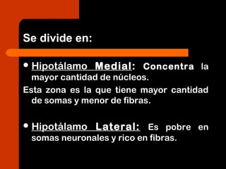 Se divide en:
Hipotálamo Medial: Concentra la
mayor cantidad de núcleos.
Esta zona es la que tiene mayor cantidad
de somas y menor de fibras.
Hipotálamo Lateral: Es pobre en
somas neuronales y rico en fibras.
 
