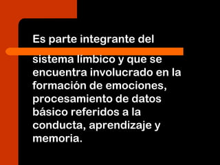 Es parte integrante del
sistema límbico y que se
encuentra involucrado en la
formación de emociones,
procesamiento de datos
básico referidos a la
conducta, aprendizaje y
memoria.
 