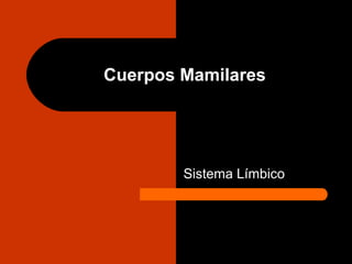 Cuerpos Mamilares
Sistema Límbico
 