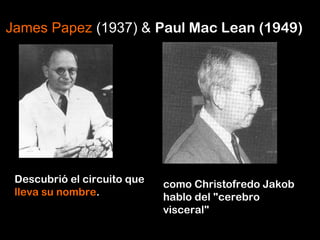Descubrió el circuito que
lleva su nombre.
James Papez (1937) & Paul Mac Lean (1949)
como Christofredo Jakob
hablo del "cerebro
visceral"
 