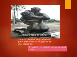 Según la teoría clásica del instinto:
El instinto es infalible, no se equivoca
nunca.
Este es un comportamiento sui generis,
que se distingue de los reflejos y de los
actos inteligentes
 