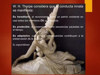 W. H. Thorpe considera que la conducta innata
se manifiesta:
Es hereditario, al reconocerse como un patrón existente en
casi todos los miembros de una especie.
Es predecible, al presentarse como secuencias pautadas en
el tiempo.
Es adaptativo, cuando sus consecuencias contribuyen a la
preservación de la especie.
Es espontáneo
 