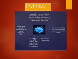 Instintos
 