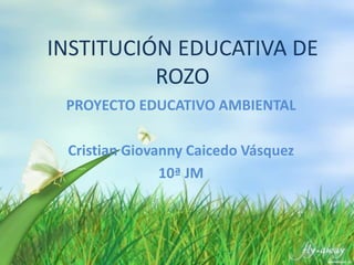 INSTITUCIÓN EDUCATIVA DE
ROZO
PROYECTO EDUCATIVO AMBIENTAL
Cristian Giovanny Caicedo Vásquez
10ª JM
 