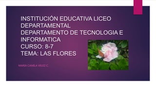 INSTITUCIÓN EDUCATIVA LICEO
DEPARTAMENTAL
DEPARTAMENTO DE TECNOLOGIA E
INFORMATICA
CURSO: 8-7
TEMA: LAS FLORES
MARIA CAMILA VELEZ C.
 
