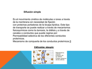 Difusión simple
Es el movimiento cinético de moléculas o iones a través
de la membrana sin necesidad de fijación
con proteínas portadoras de la bicapa lipídica. Este tipo
de transporte se puede realizar a través de mecanismos
fisicoquímicos como la ósmosis, la diálisis y a través de
canales o conductos que puede regirse por:
Permeabilidad selectiva de los diferentes conductos
proteínicos.
Mecanismo de compuerta de los conductos proteínicos.]]
 