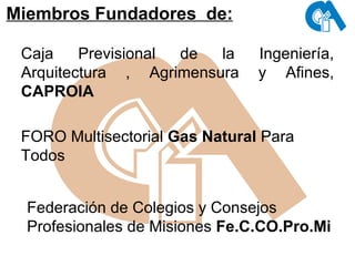 Miembros Fundadores  de:   Caja Previsional de la Ingeniería, Arquitectura , Agrimensura y Afines,  CAPROIA FORO Multisectorial  Gas Natural  Para Todos Federación de Colegios y Consejos  Profesionales de Misiones  Fe.C.CO.Pro.Mi 