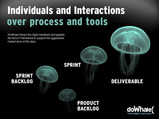Institucional presentation