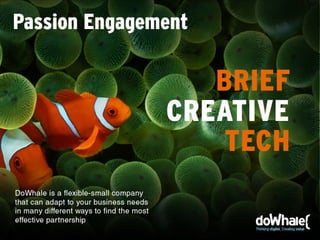 Institucional presentation